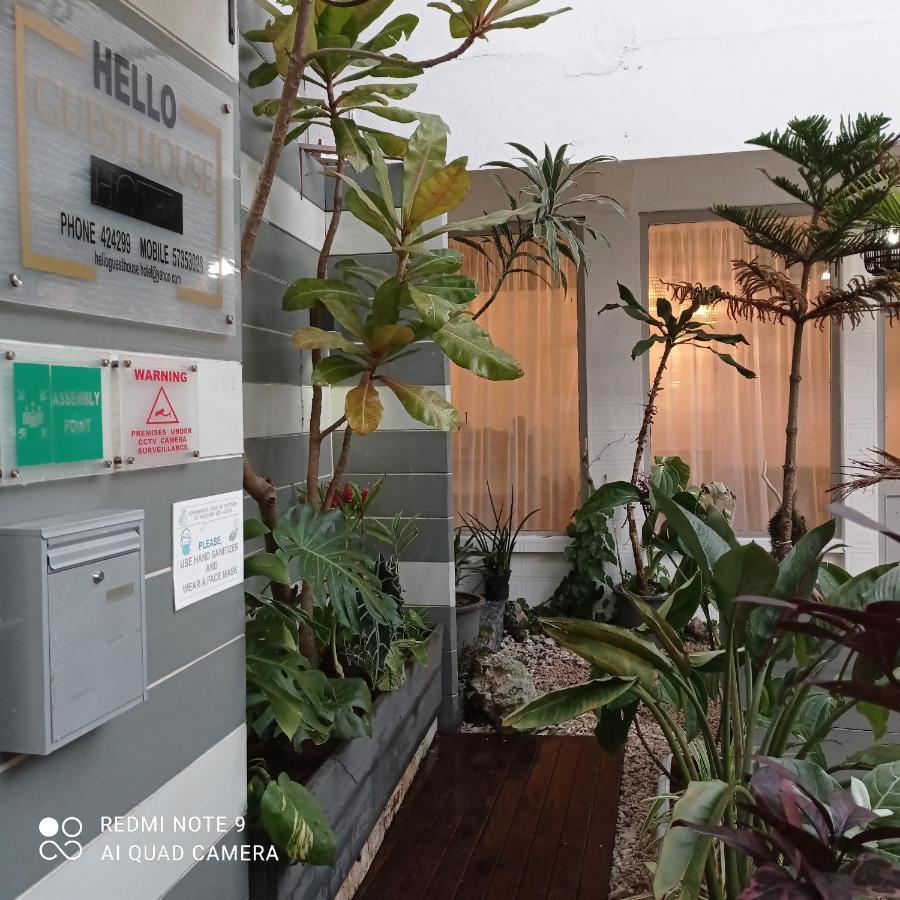 Hello Guest House Quatre Bornes Exterior photo